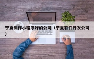 孝感宁夏制作小程序好的公司（宁夏软件开发公司）